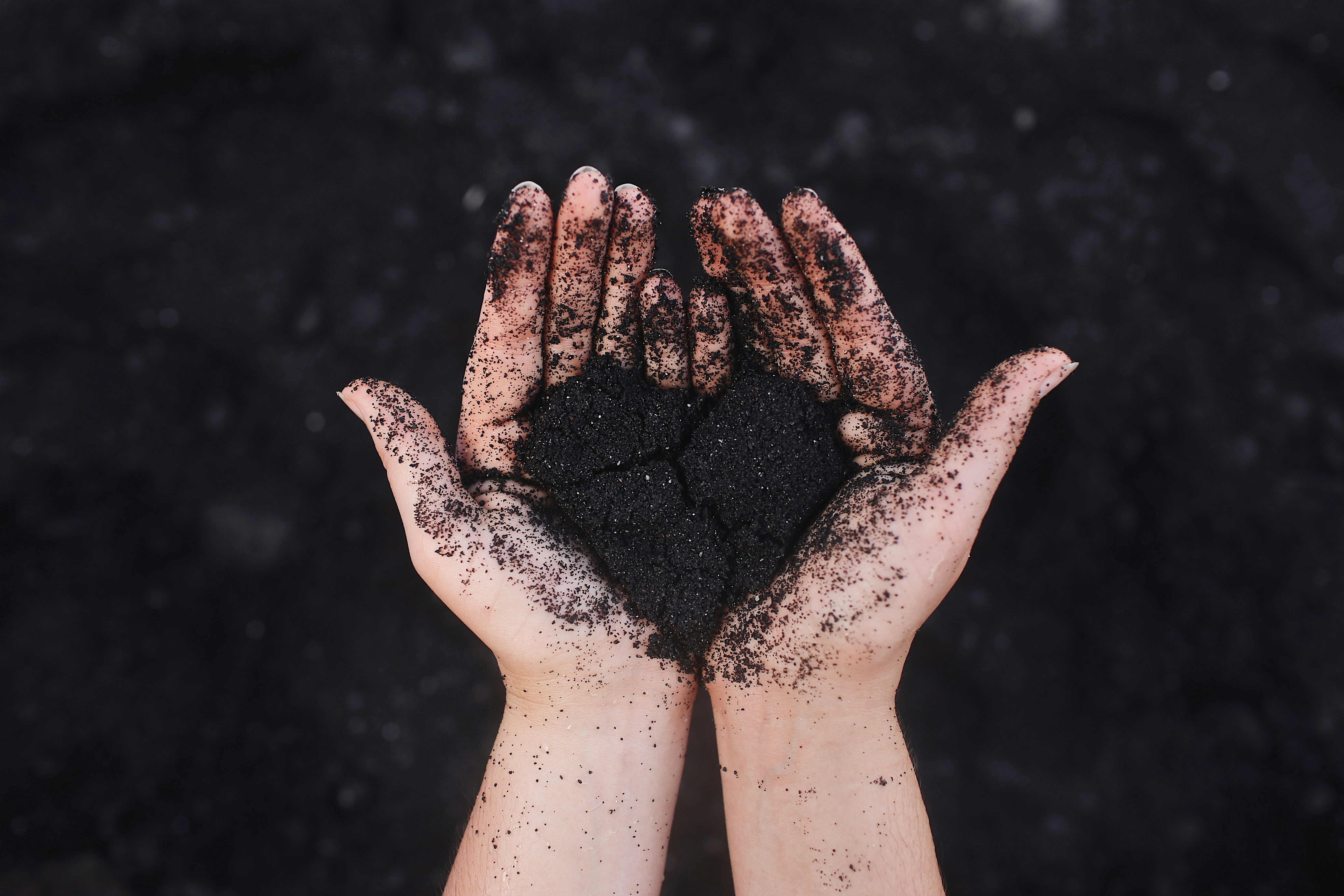 Coal To Crude